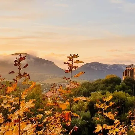 Madame Mere サン・フロラン